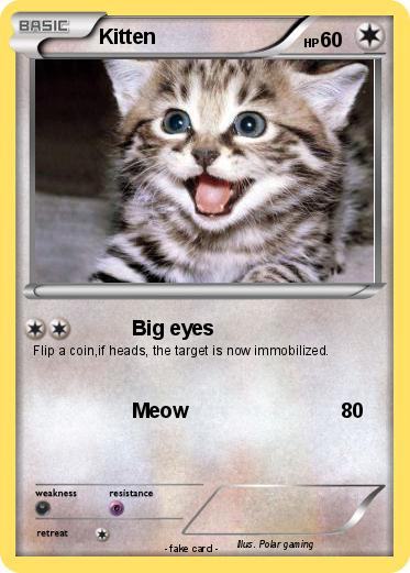 Pokemon Kitten
