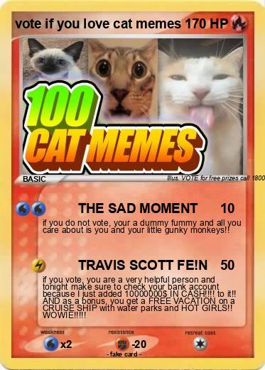 Pokemon vote if you love cat memes