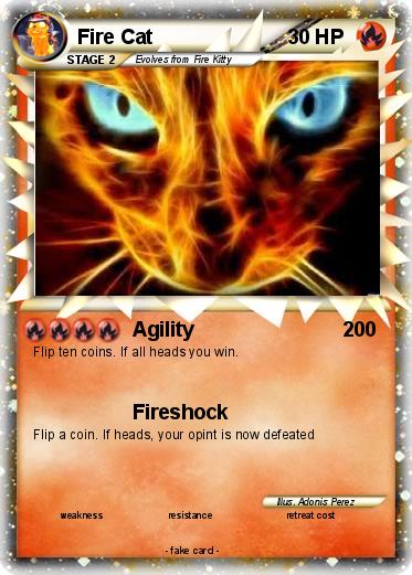 Pokemon Fire Cat