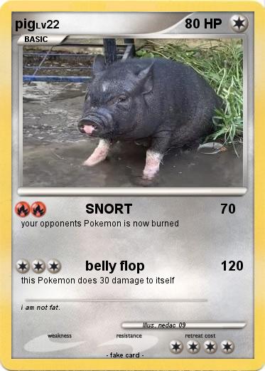 Pokemon pig