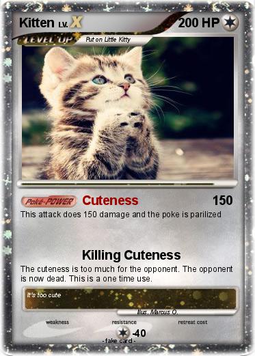 Pokemon Kitten