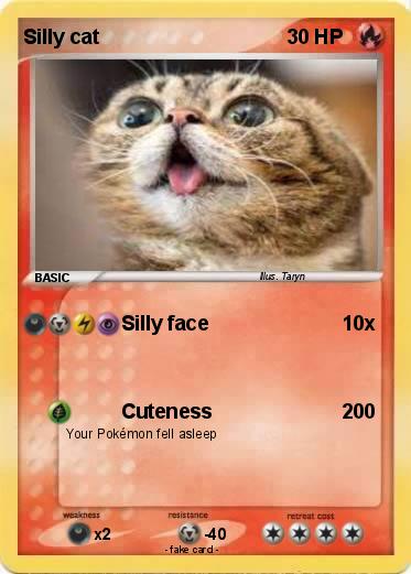 Pokemon Silly cat