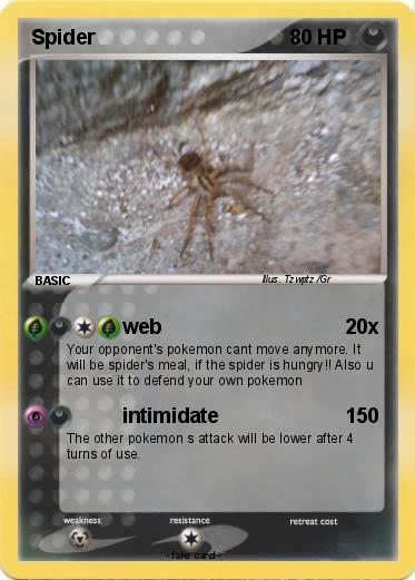 Pokemon Spider