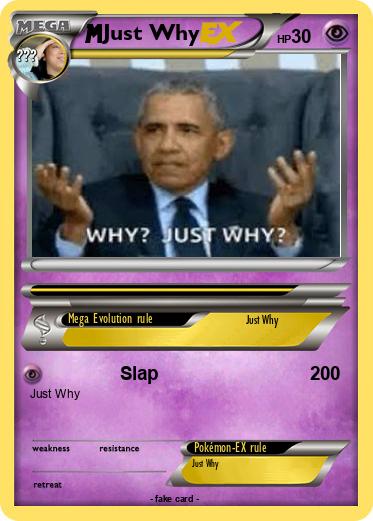 Pokemon Just Why