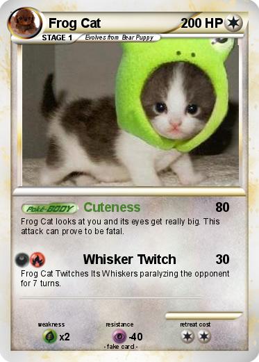 Pokemon Frog Cat