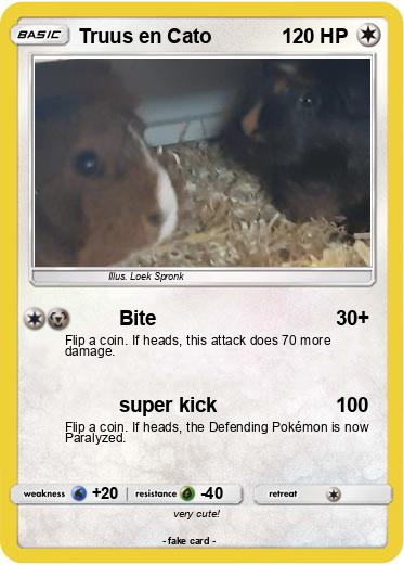 Pokemon Truus en Cato