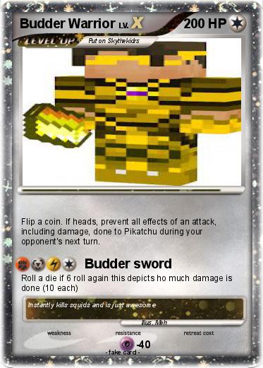 Pokemon Budder Warrior