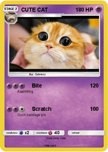 Pokemon CUTE CAT