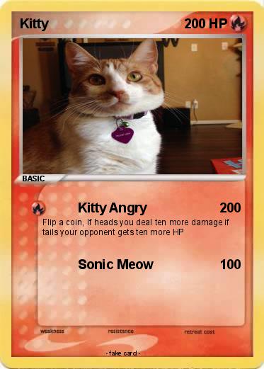 Pokemon Kitty