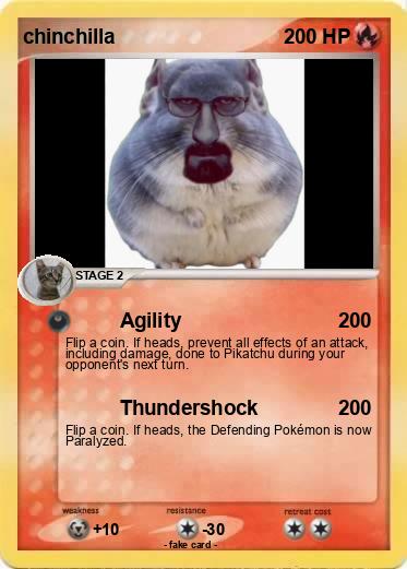 Pokemon chinchilla