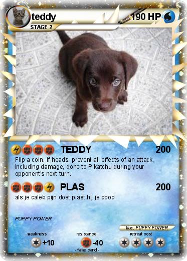 Pokemon teddy