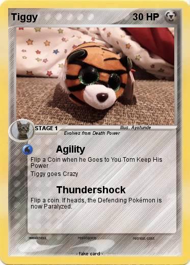 Pokemon Tiggy