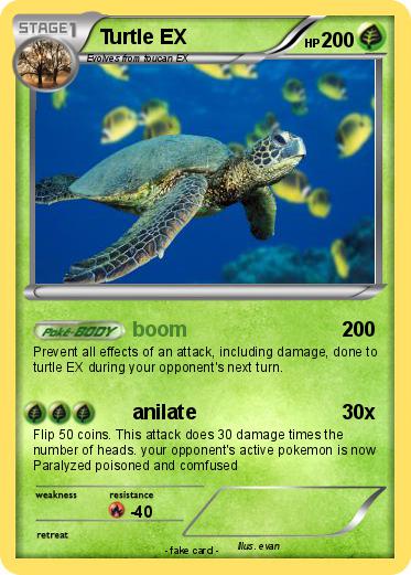 Pokemon Turtle EX