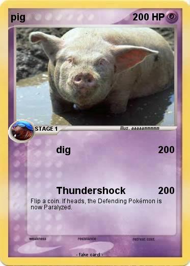 Pokemon pig