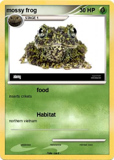Pokemon mossy frog