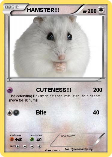 Pokemon HAMSTER!!!