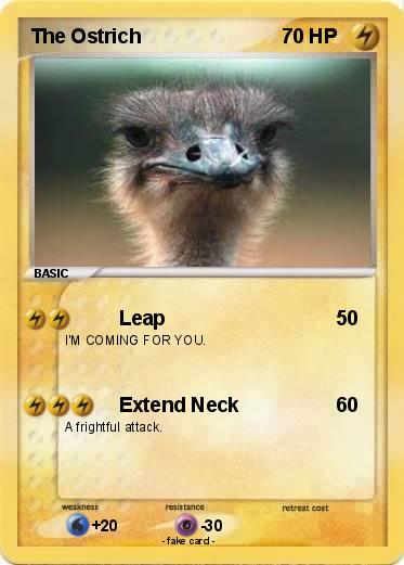Pokemon The Ostrich