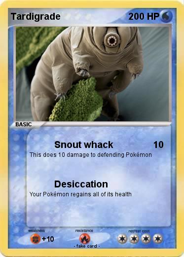 Pokemon Tardigrade