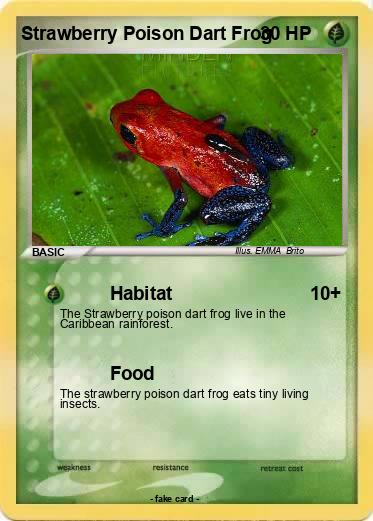 Pokemon Strawberry Poison Dart Frog