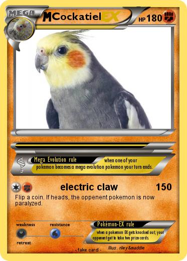 Pokemon Cockatiel