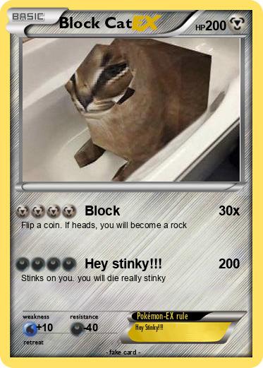 Pokemon Block Cat
