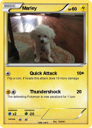 Pokemon Marley