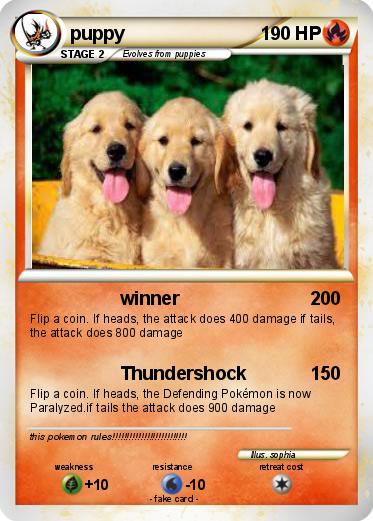 Pokemon puppy