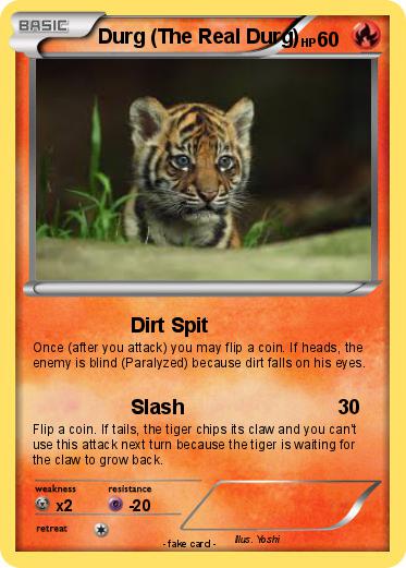 Pokemon Durg (The Real Durg)