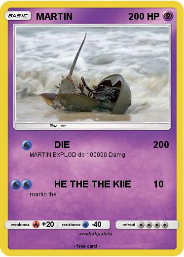 Pokemon MARTiN