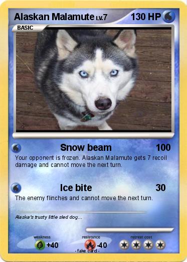 Pokemon Alaskan Malamute