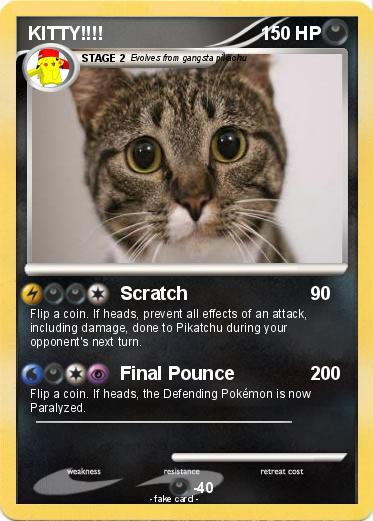 Pokemon KITTY!!!!