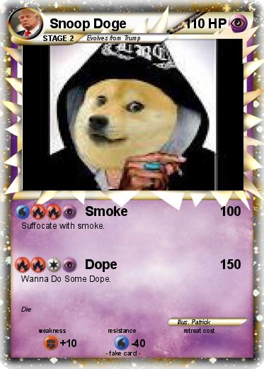 Pokemon Snoop Doge