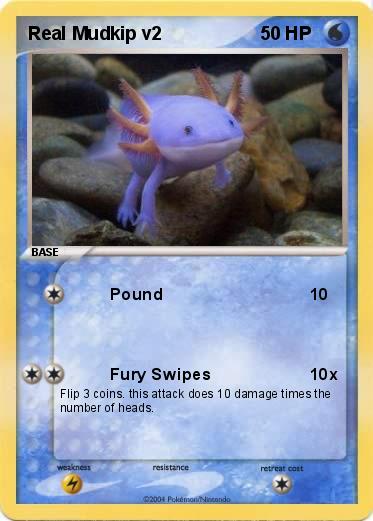 Pokemon Real Mudkip v2