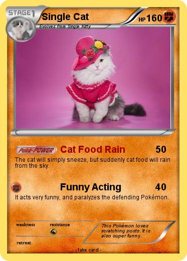 Pokemon Single Cat