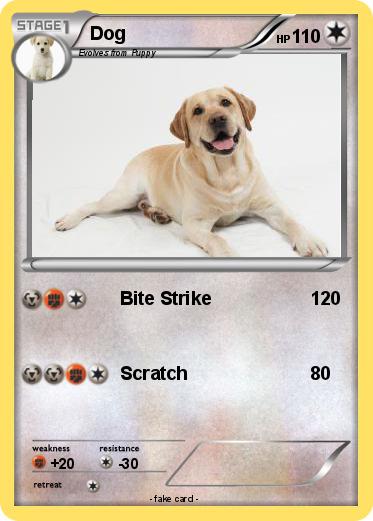 Pokemon Dog