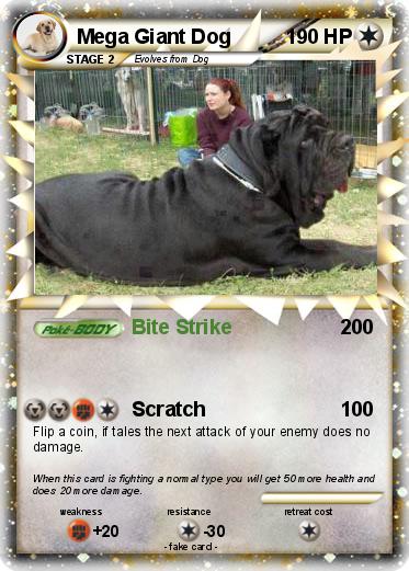 Pokemon Mega Giant Dog