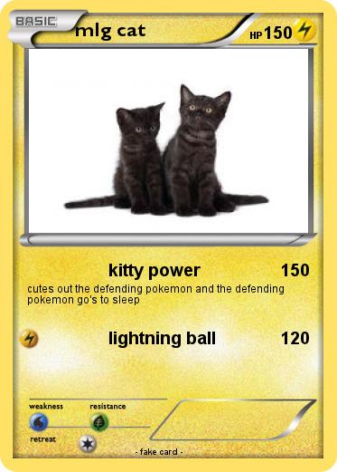 Pokemon mlg cat