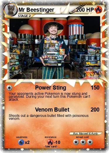 Pokemon Mr Beestinger