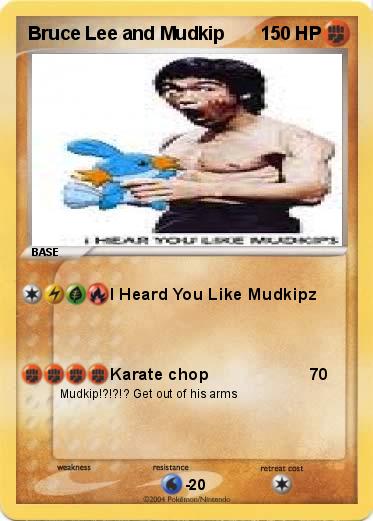 Pokemon Bruce Lee and Mudkip