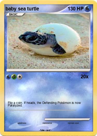 Pokemon baby sea turtle