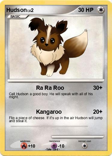 Pokemon Hudson