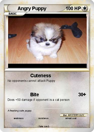 Pokemon Angry Puppy