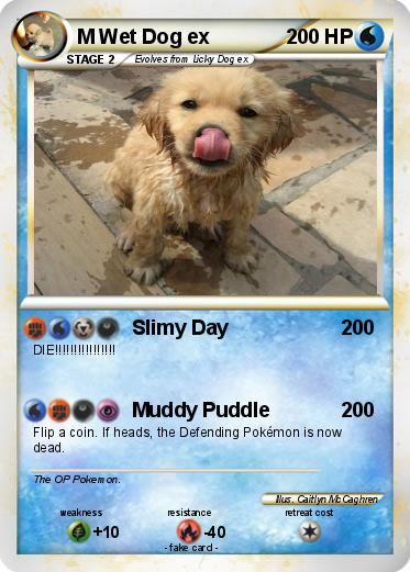 Pokemon M Wet Dog ex