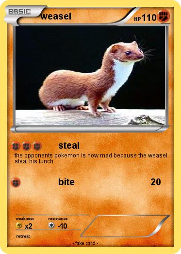 Pokemon weasel