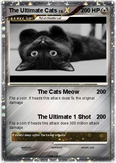 Pokemon The Ultimate Cats