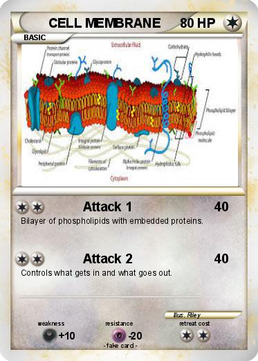 Pokemon CELL MEMBRANE