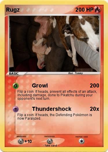 Pokemon Rugz
