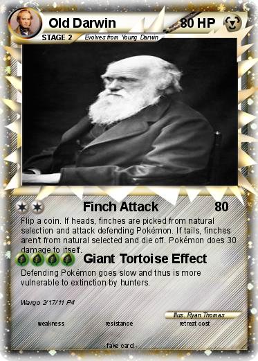 Pokemon Old Darwin