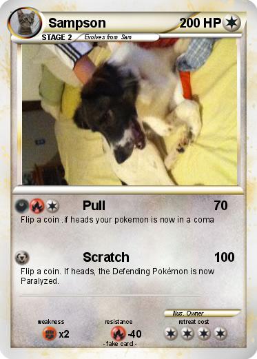 Pokemon Sampson