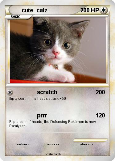 Pokemon cute  catz